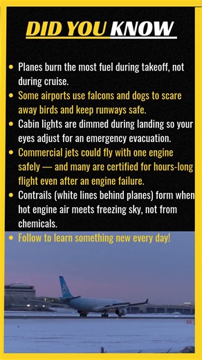Unbelievable Facts About Airplanes