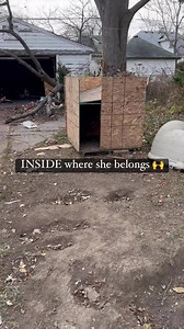 59K views · 424 reactions | Sonya was INSIDE with her family where she belongs! This is the best kind of outreach visit there is! Education, compassion, patience, and a helping hand go a long way ♥️ #DogAide #detroit #sonya #followus #communityoutreach | Dog Aide | Facebook