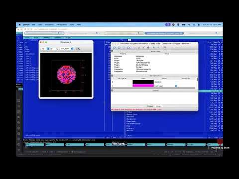 CompuCell3D WS 2026: 2.2: Controlling Cell Properties [Gilberto Thomas] July 28, 2026