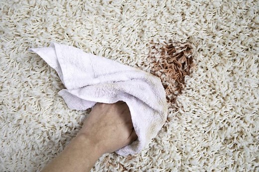 The Best Homemade Carpet Cleaners for Removing Stains—and How to Make Them