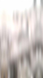 Our goal with the Brawler series cylinder heads is to provide a standardized on the shelf, in-stock cylinder head that can ship out very quickly and to provide our customers with an incredible bargain! ✅️ Same CNC Porting As GM PRC Ported Heads ✅️ CNC 5-Angle Valve Job ✅️ TSP/PAC .660 Spring Kit ✅️ TSP Titanium Retainers ✅️ Fully Assembled and Dyno Tested | Texas Speed & Performance