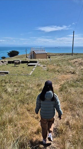 Short walk 👣 Stunning view 🇳🇿 #newzealand #fblifestyle | Fil in NZ