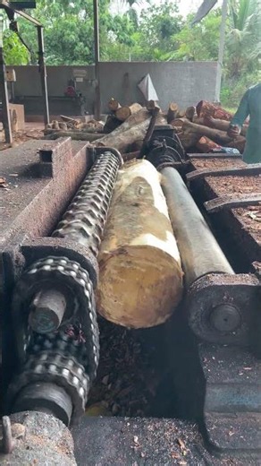 Wood machine core rolling wood work 🪵👍|#peeling #wood #shorts
