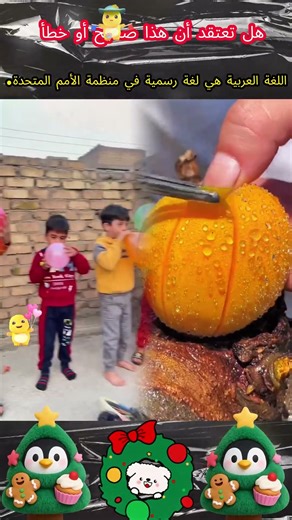 اللغة العربية هي لغة رسمية في منظمة الأمم المتحدة#foryou #fyp #viral #shorts