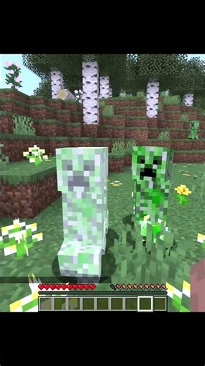 Minecraft Insane Commands Moment 💀