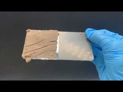 プロテイン③ P10【押付け】 PFAS対策に