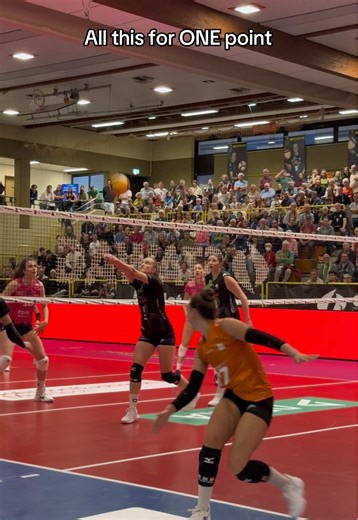 This is why we love volleyball #volleyball #ladiesinblackaachen #volleyballgame #vollyballgirls #volleyballworld