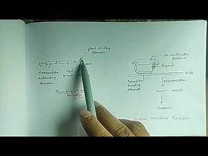 Nuclear (intracellular) receptor