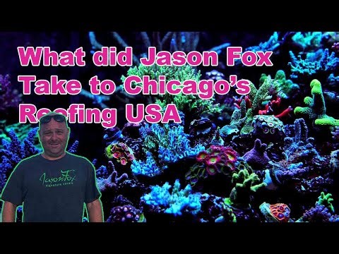 What did Jason Fox bring to REEFING USA Chicago 2025 ?!