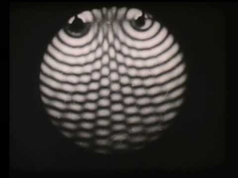 Wave Motion Interference