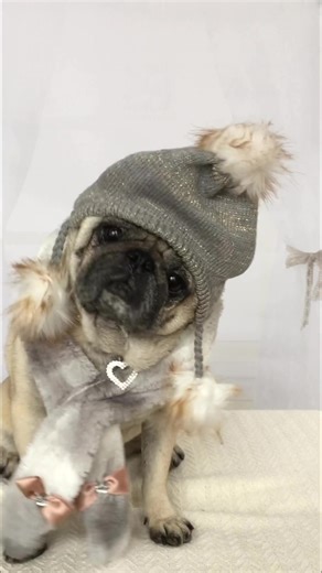 Snow Princess: A Winter Fairy Tale Adventure