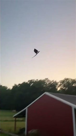 Is That a DRAGON Flying?! 🐉🤯 Amazing RC Flight