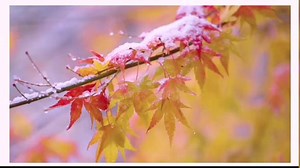 玻璃仪器的使用方法