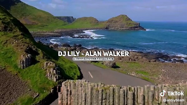 DJ LILY - Alan Walker Style Mixed by CS Team