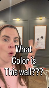 45K views · 12K reactions | What color is this wall??? #color #remodel #design #interiordesign #paint | Sarah Kraffty | Facebook