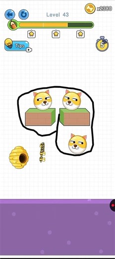 save the dog level 43