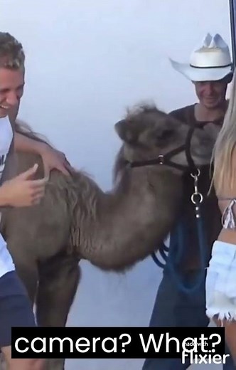 Hairy Camel Toe prank ( the last one is impressive )