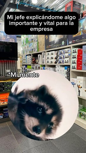 #meme #tendencia #perroperro | Tecnología Mayorista