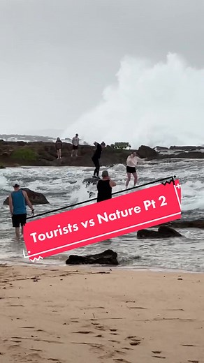 Tourists vs Nature Pt 2: Big Waves Hit North Shore, Hawaii
