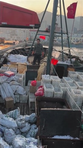 Fishing Boat Ice Loading | Live On-Site Demo