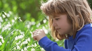 Tender Kids Spring Child Smell Snowdrop Stock Footage Video (100% Royalty-free) 3768084877 | Shutterstock