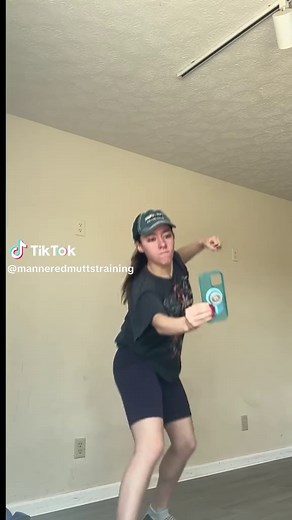 Sometimes I feel like a camera man on the set of real housewives • • • #manneredmutts #boardandtrain #daytraining #dogtraining #mmt #fyp