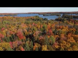 Algonquin National Park, Canada - Ontario Wildlife Adventure - Explore The Top Things To Do
