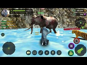 The Tiger Online Simulator