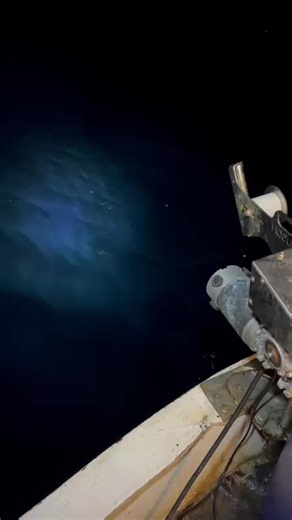 Muson Fishing Techniques: Catching Swordfish and More