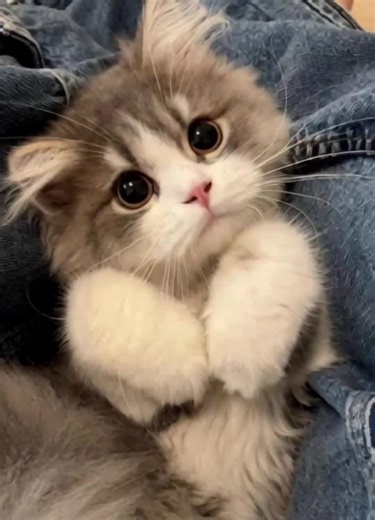 b b b b b b 001 (@bbbbbb00183)’s videos with original sound - b b b b b b 001