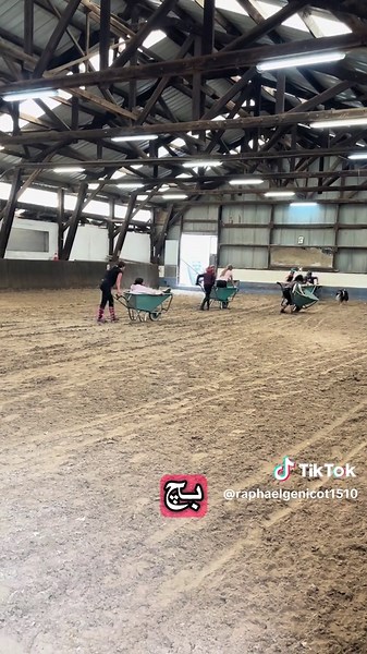 La passion des chevaux au poney-club