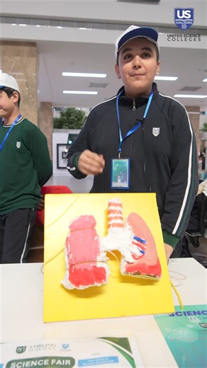 1.8K views · 19 reactions | The respiratory system functions in a way that ensures oxygen is brought into the body and carbon dioxide is expelled. This is how the respiratory system functions. #StirlingSchools #StirlingEducation #ReimaginingEducation #United_Science_Colleges #ForABrightFuture #ScienceFair | United Science Colleges | Facebook