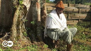 The Sheka Forest in Ethiopia