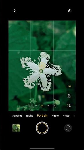 Flower photo Shoot || #shorts #edit #trending #photography #videography
