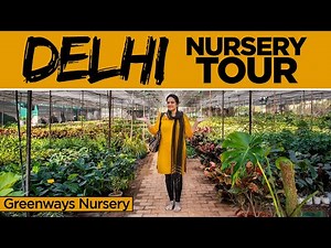 Delhi Nursery Tour(October 2021) | Greenways Nursery | Biggest nursery in North India