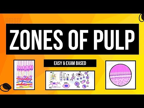Zones of Pulp | Histology of Pulp | Cells of Pulp | Dental lectures