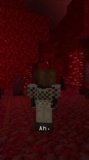 Minecraft Shorts - The Nether Compass Clip #104 #minecraftshorts #mcshorts #minecraft #minecraftmeme