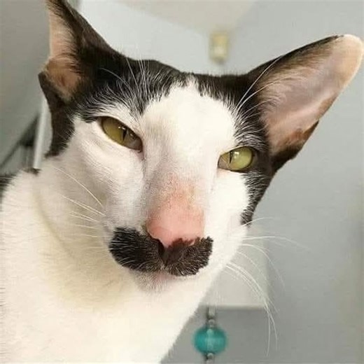 İstanbulda şort giyen var, 🙄 😕 mont giyen var,🤦‍♀️😕 terlik giyen var,😁😕 bot giyen var,😕 camı açık yatan var,🙈🤣😕 yorganla yatan var🙄😕 bu şehir hala çözülemedi😕😕😁🙈🙈😂😂 Günaydın 😁 | Mahsen