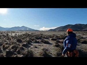 Freddie the Working Springer Spaniel. Championship Trial 13/07/24