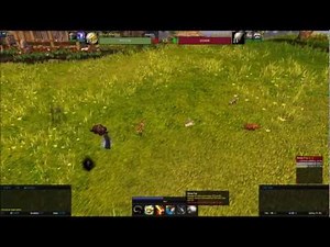 Pet Battle Tutorial 1