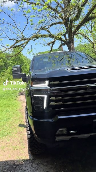 dat_boi_roy on TikTok