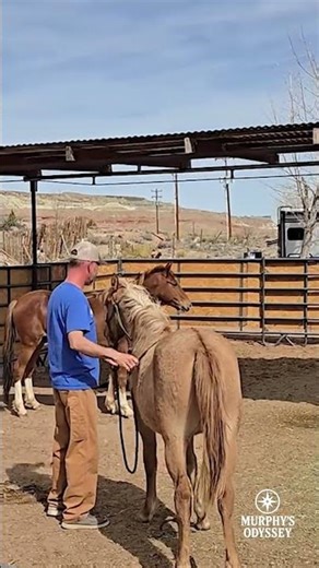 First real test of our RV solar system #boondocking #shorts