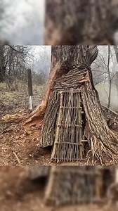 25M views · 355K reactions | Building a secret shelter deep inside big tree | Wild Survival | Facebook