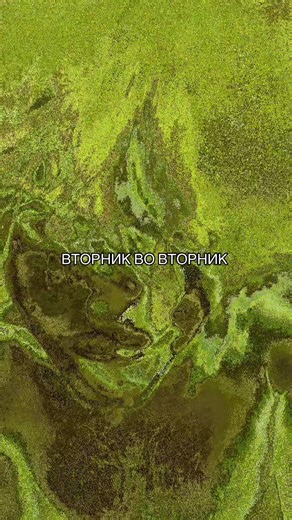 RED LINE MUSIC na TikTok