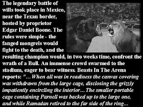 Bull Kills Bear And Lion