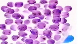 Language Nursery in G Major (Part 2)