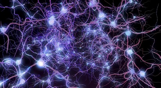 #neuroscience #braintissues #nueralinterfaces #syntheticbiology #research | Abhijeet Satani