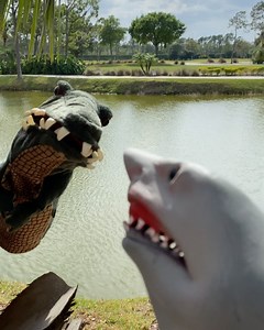Shark Puppet ✪ | HE TRICKED ME!!!!! @christianityhotlineofficial #playlistlive #sharkpuppet | Instagram