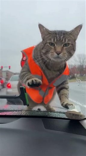 Garfield's New Side Hustle is AGGRESSIVE (AI)