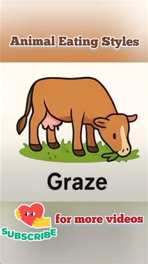 “🐾 How Do Animals Eat Their Food?#kidslearning#shorts #ytshorts